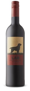 Casa Santos Lima Lab Red 2015