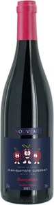 Jean-Baptiste Duperray Vieilles Vignes Beaujolais Nouveau 2021