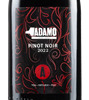 Adamo Red Head Pinot Noir 2022