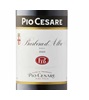 Pio Cesare Barbera d'Alba 2023