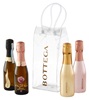 Bottega Mini Sparkling Icebag Set