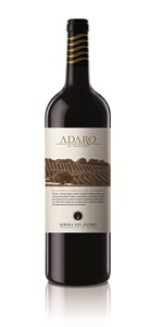 Adaro 2009