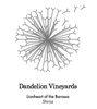 Dandelion Vineyards Lionheart Of The Barossa Shiraz 2008