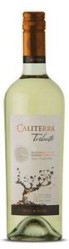 Caliterra Tributo Single Vineyard Algarrobo Block Sauvignon Blanc 2011