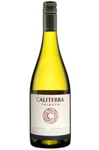 Caliterra Tributo Single Vineyard Algarrobo Block Sauvignon Blanc 2015