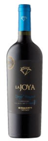 Bisquertt La Joya Single Vineyard Carmenère 2018