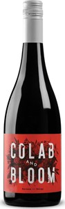 Colab and Bloom Shiraz 2018