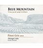 Blue Mountain Vineyard and Cellars Pinot Gris 2004