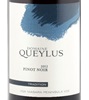 Domaine Queylus Tradition Pinot Noir 2014