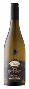 Collavini Single Vineyard Signature Collection Pinot Grigio 2024
