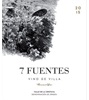 Suertes del Marquès Tenerife 7 Fuentes 2016