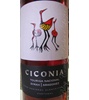 Ciconia Casa Agr. Alexandre Relvas Vinho Tinto 2010