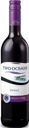 Two Oceans Shiraz 2008