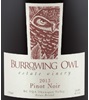 Burrowing Owl Estate Winery Pinot Noir 2013