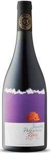 Secreto Patagónico Reserva Pinot Noir 2021