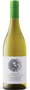 Waterkloof Seriously Cool Chenin Blanc 2017