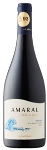 MontGras Amaral Syrah 2019