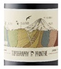 Printhie Topography Shiraz 2019