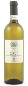 Masera Gavi 2013