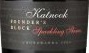 Katnook Founder's Block Sparkling Shiraz 2009