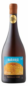 Maturana Naranjo Torontel 2024