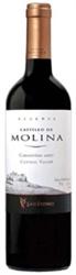 Castillo De Molina Reserva Viña San Pedro Carmenère 2007