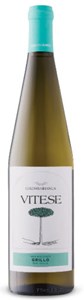 Vitese Grillo 2020