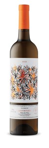 Tsimbidi Monemvasia Assyrtiko 2024