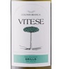 Vitese Grillo 2017