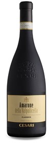 Cesari Amarone della Valpolicella Classico 2008