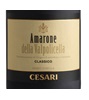 Cesari Amarone della Valpolicella Classico 2009