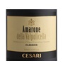 Cesari Amarone della Valpolicella Classico 2008