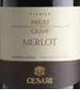 Cesari delle Venezie Merlot 2008