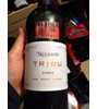 Trivento Tribu Syrah 2008