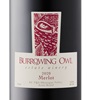 Burrowing Owl Estate Winery Merlot 2020