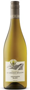 Thierry Delaunay Le Grand Ballon Sauvignon Blanc 2019