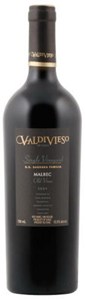 Valdivieso Single Vineyard Old Vines Malbec 2009