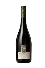 Burrowing Owl Estate Winery Pinot Gris 2011