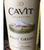 Cavit Collection Delle Venezie Pinot Grigio 2008