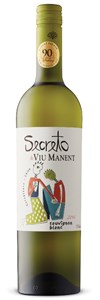 Viu Manent Secreto Sauvignon Blanc 2016