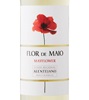 Flor de Maio Mayflower 2020