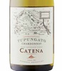 Catena Chardonnay 2024