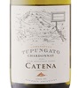 Catena Chardonnay 2024