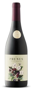 Prunus Private Selection 2022