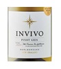 Invivo Pinot Gris 2025