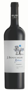 J. Bouchon Family Reserva Carmenère 2020