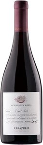 Errazuriz Aconcagua Costa Pinot Noir 2013