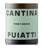 Puiatti Pinot Grigio 2024