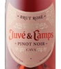 Juve y Camps Pinot Noir Brut Rosé Cava