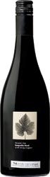 Kangarilla Road Shiraz Viognier 2006